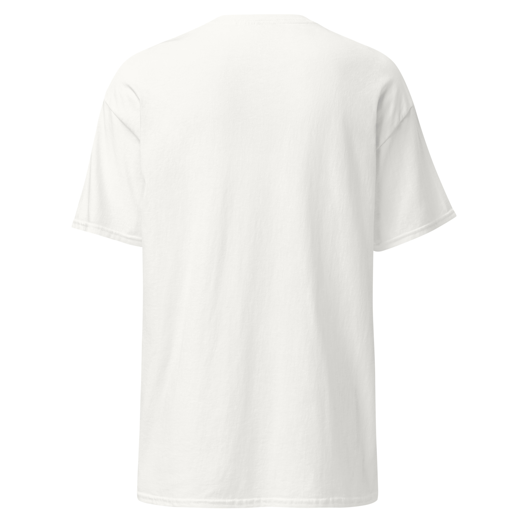 unisex-classic-tee-white-back-68f68fa588592.jpg