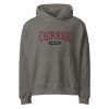 unisex-oversized-heavyweight-hoodie-asphalt-front-69236e585e7b5.jpg