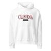 unisex-oversized-heavyweight-hoodie-white-front-69236e585f43f.jpg