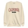 unisex-premium-sweatshirt-bone-front-69236d348a873.jpg