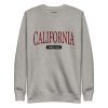unisex-premium-sweatshirt-carbon-grey-front-69236d330a236.jpg