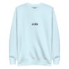 unisex-premium-sweatshirt-sky-blue-front-69235a9846d18.jpg