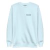 unisex-premium-sweatshirt-sky-blue-front-69236193587e2.jpg
