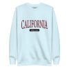 unisex-premium-sweatshirt-sky-blue-front-69236d34ba81a.jpg